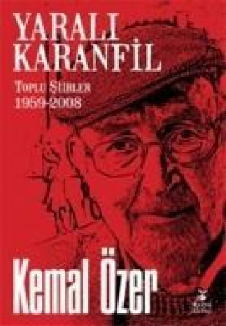 Kniha Yarali Karanfil 