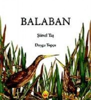 Book Balaban 