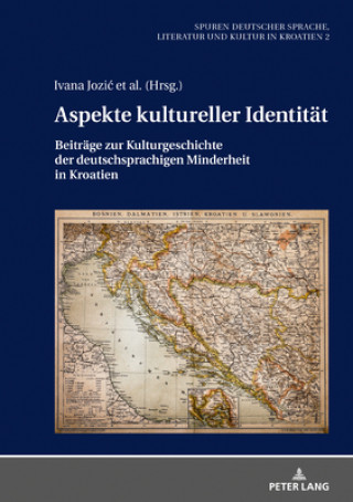 Kniha Aspekte Kultureller Identitaet Thomas Möbius
