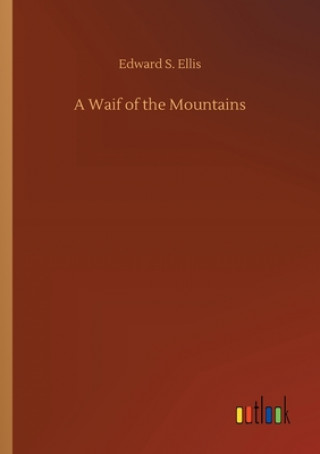 Knjiga Waif of the Mountains Edward S. Ellis