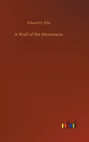 Kniha Waif of the Mountains Edward S. Ellis