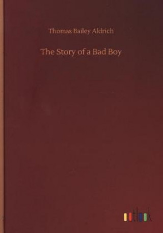 Книга Story of a Bad Boy Thomas Bailey Aldrich