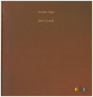 Buch Joe's Luck Horatio Alger
