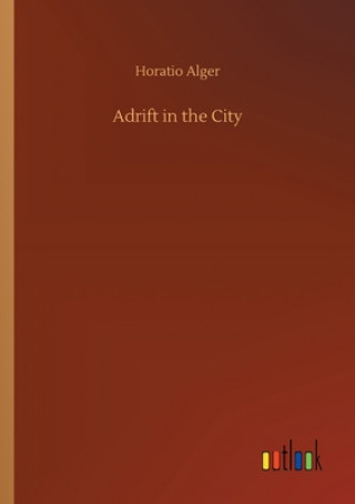 Buch Adrift in the City Horatio Alger