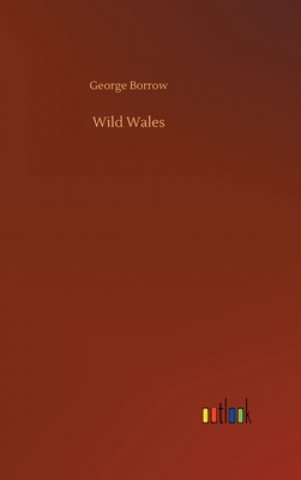Knjiga Wild Wales George Borrow