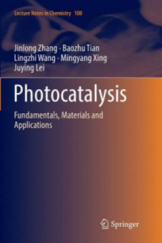 Kniha Photocatalysis Jinlong Zhang