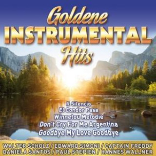 Audio Goldene Instrumental Hits 