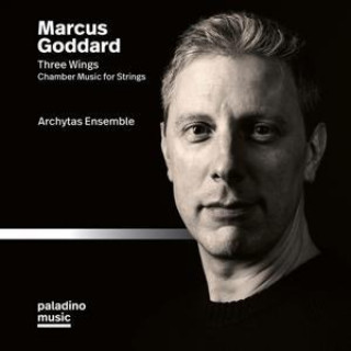 Zvok Three Wings 