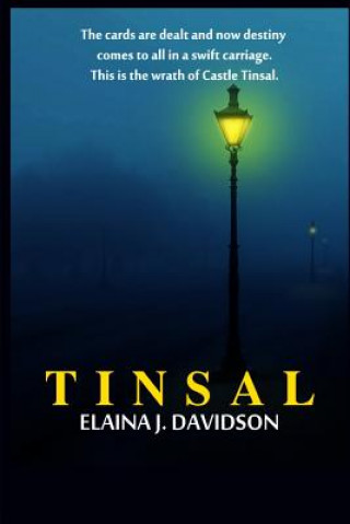 Buch Tinsal Elaina J Davidson