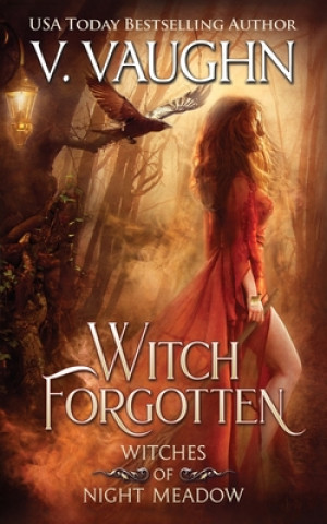 Book Witch Forgotten V Vaughn