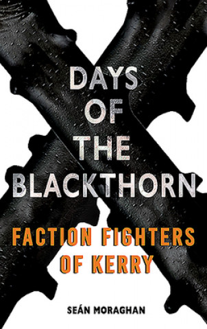 Kniha Days of the Blackthorn SEAN MORAGHAN