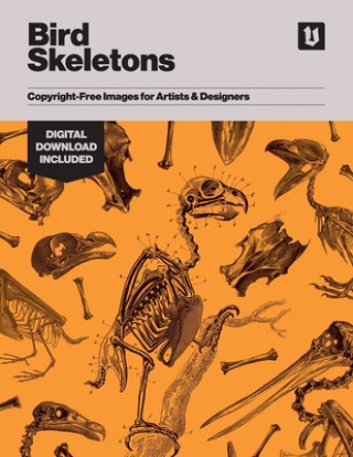 Kniha Bird Skeletons 