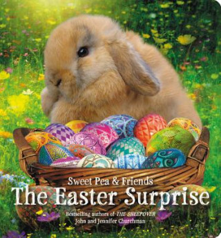 Carte Easter Surprise John Churchman