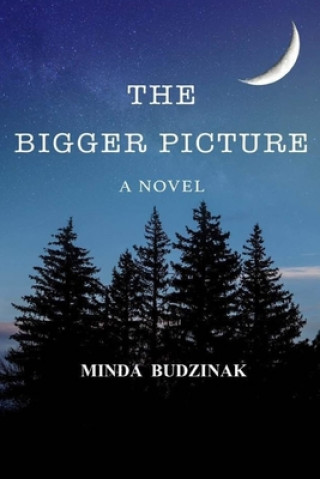 Buch The Bigger Picture Minda Budzinak