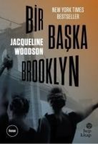 Knjiga Bir Baska Brooklyn 