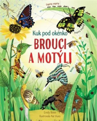Kniha Brouci a motýli Emily Bone