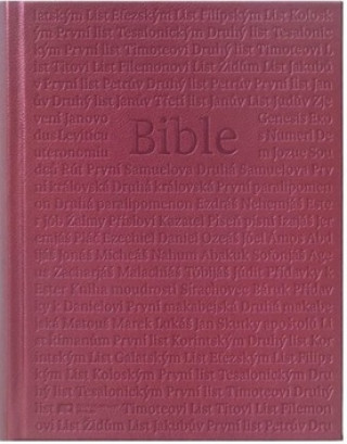 Book Bible 