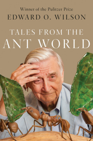 Kniha Tales from the Ant World 