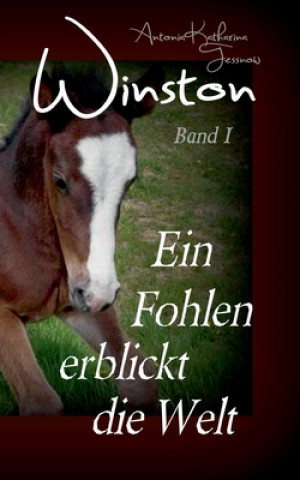 Βιβλίο Winston - Ein Fohlen erblickt die Welt Antonia Katharina Tessnow