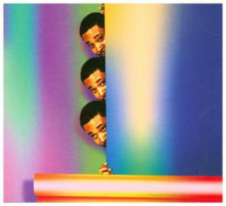 Audio Uknowhatimsayin¨ Danny Brown