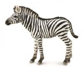 Carte Zebra źrebię 