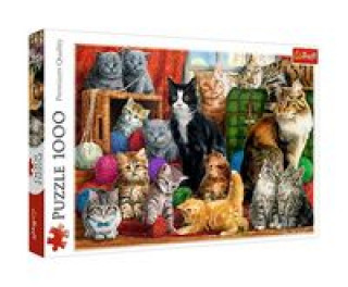 Game/Toy Trefl Puzzle Kočičí setkání / 1000 dílků 