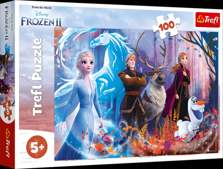 Hra/Hračka Puzzle Ledové království 2 Mrazivá magie 