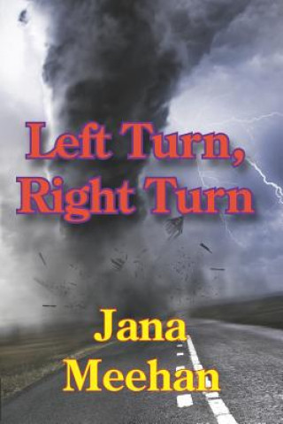 Kniha Left Turn, Right Turn Jana Meehan