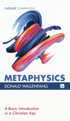 Knjiga Metaphysics Donald Wallenfang