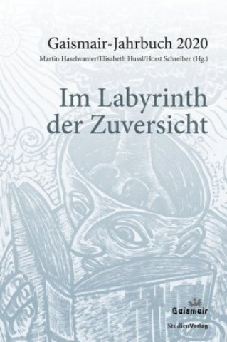 Könyv Im Labyrinth der Zuversicht Martin Haselwanter