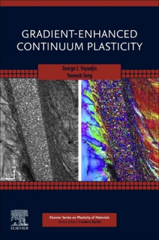 Knjiga Gradient-Enhanced Continuum Plasticity Yooseob Song