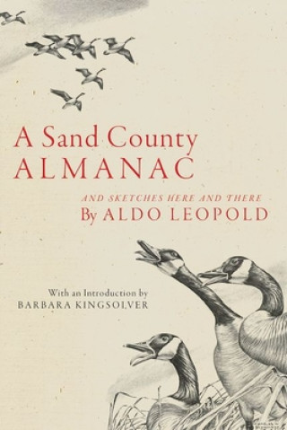 Kniha A Sand County Almanac: And Sketches Here and There 