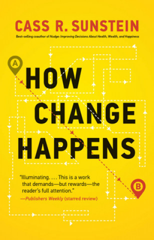 Book How Change Happens 