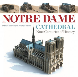 Книга Notre Dame Cathedral Andrew Tallon