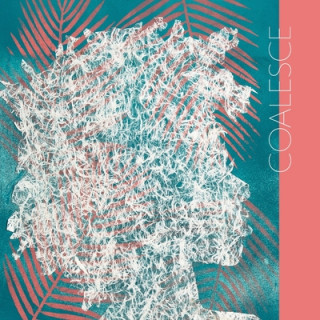 Knjiga Coalesce Erika Hirugami