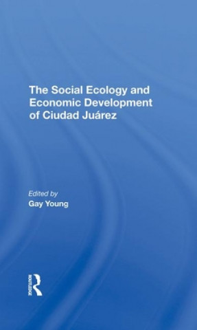 Könyv Social Ecology And Economic Development Of Ciudad Juarez Gay Young