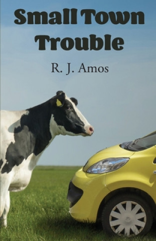 Knjiga Small Town Trouble R. J. Amos