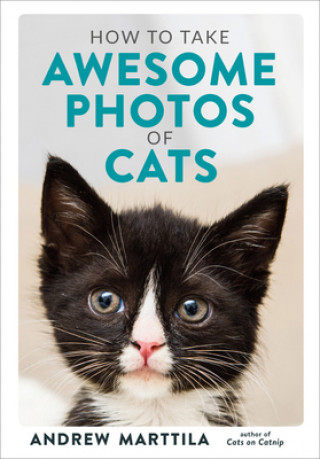 Книга How to Take Awesome Photos of Cats 