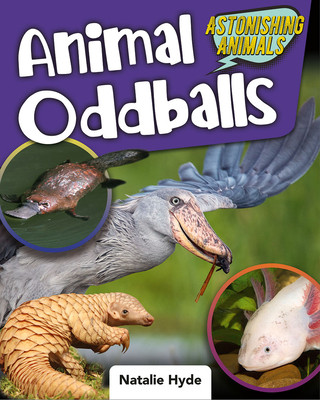 Książka Animal Oddballs 