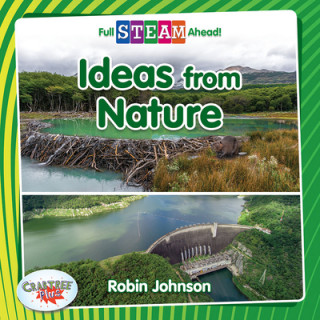 Livre Ideas from Nature 