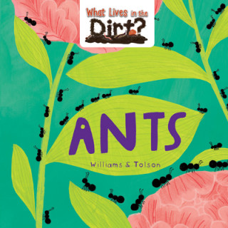 Boek Ants Hannah Tolson