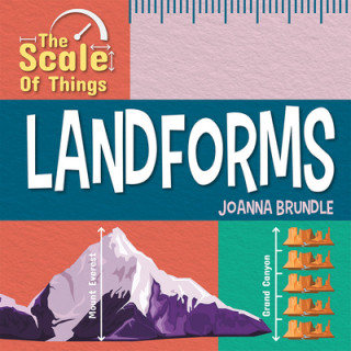 Książka The Scale of Landforms 