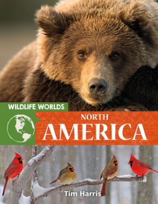 Kniha Wildlife Worlds North America 