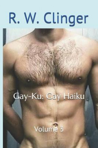 Kniha Gay-Ku: Gay Haiku: Volume 3 R W Clinger