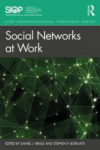 Kniha Social Networks at Work 