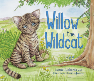 Carte Willow the Wildcat Lynne Rickards