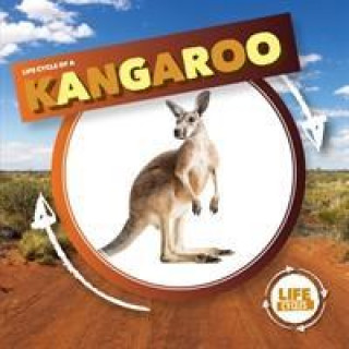 Buch Kangaroo Kirsty Holmes