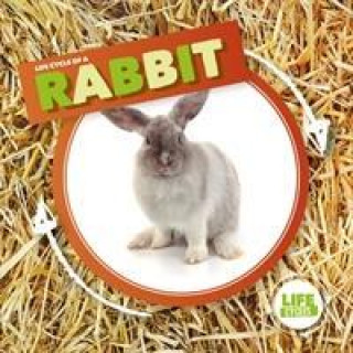 Knjiga Rabbit Kirsty Holmes