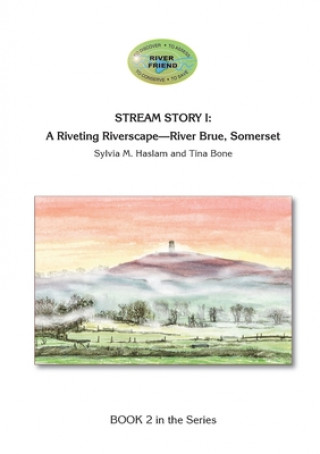 Buch Stream Story I Sylvia Mary Haslam