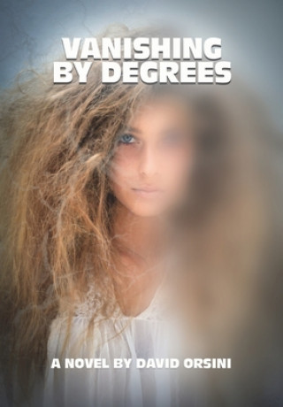 Kniha Vanishing by Degrees David Orsini
